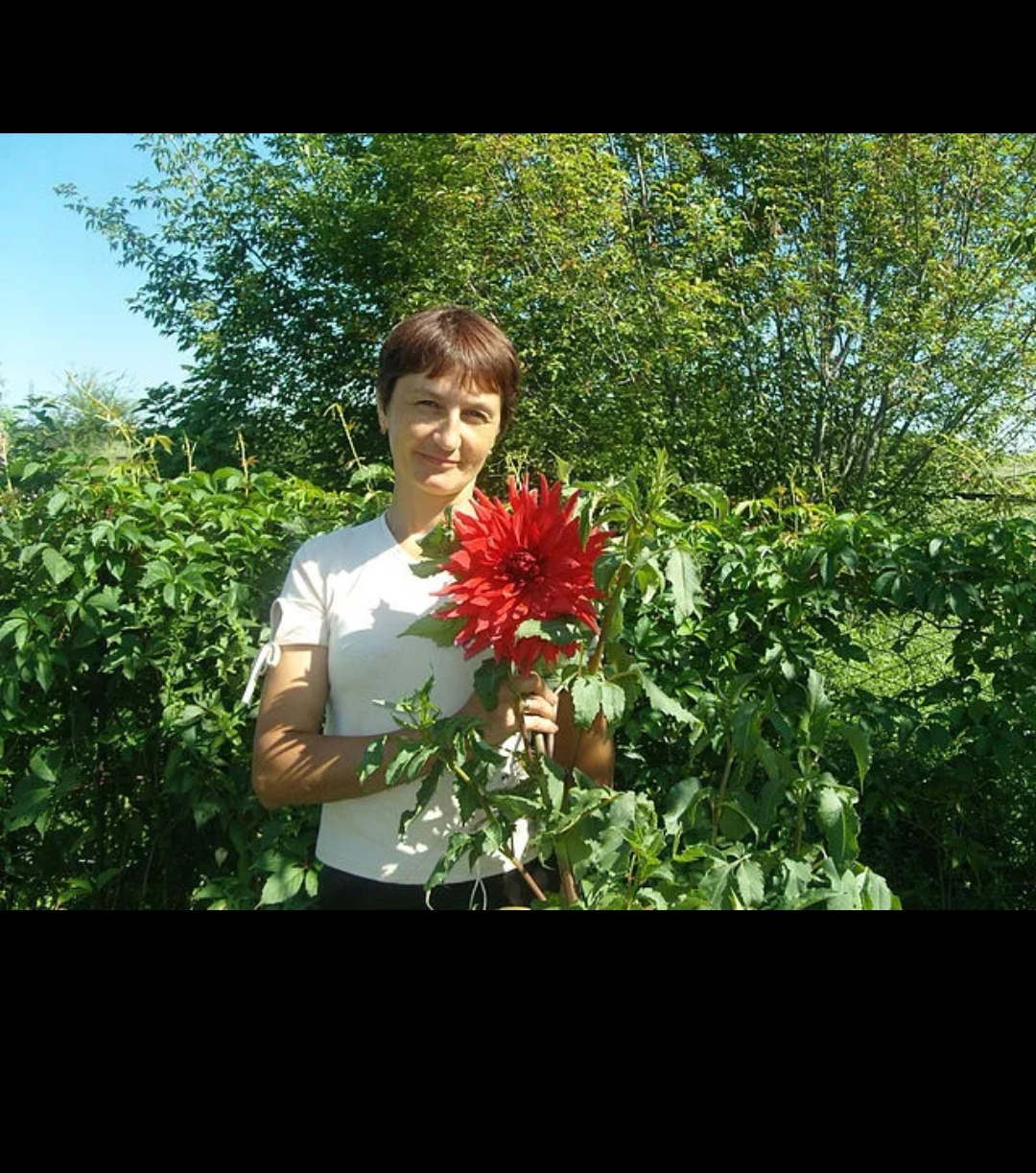 Шкулипа Татьяна Ивановна Шкулипа Татьяна Ивановна.